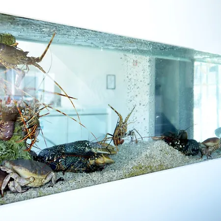 Mar Bravo מלון נאזרה