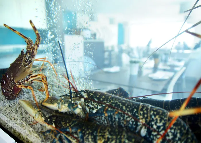 Mar Bravo 3* נאזרה