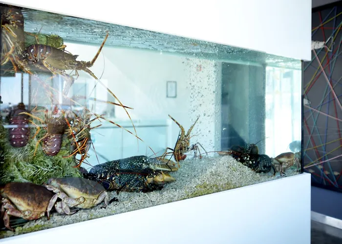 Mar Bravo מלון נאזרה